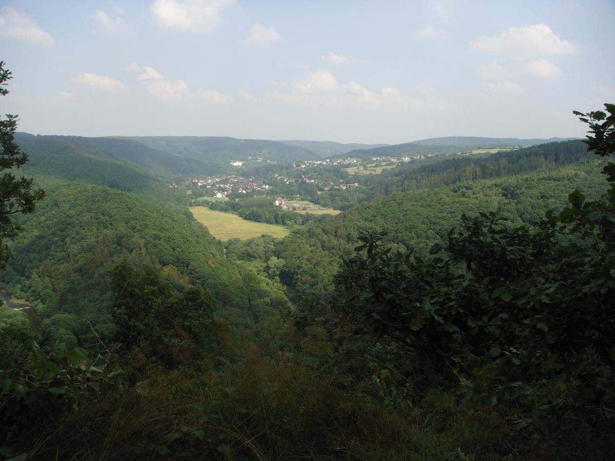 Haus Eifelinchen Apartman Schleiden Kültér fotó